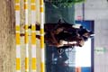DSCF1329