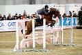 DSCF1429