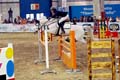 DSCF1432