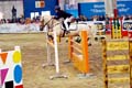 DSCF1440