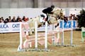 DSCF1441