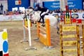DSCF1452
