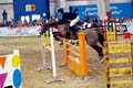 DSCF1460