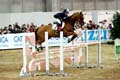 DSCF1469