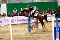 DSCF1471