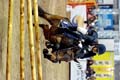 DSCF1474