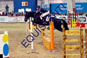 DSCF1708