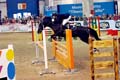 DSCF1498