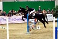 DSCF1517