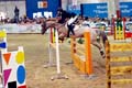 DSCF1606
