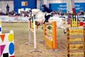 DSCF1678