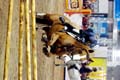 DSCF1740