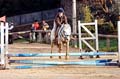 DSC_6651