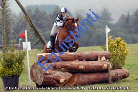 059 - Guidarelli