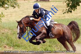 064 - Colucci
