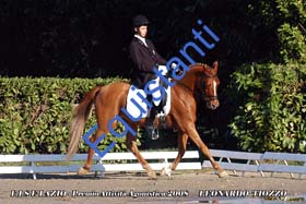 143 - Tiozzo