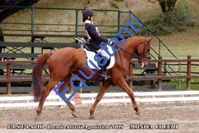 147 - Cocchi