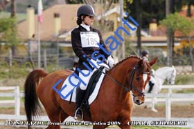 153 - Guidarelli