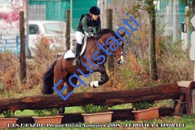 176 - Caporale