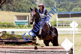 179 - Pitoni