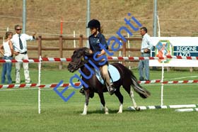 027 GIM2 B2