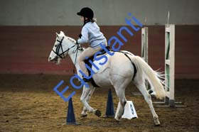 040 CICCONI CARLOTTA