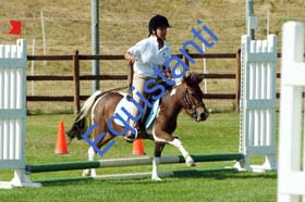 049 GIM2 B1