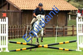 071 JUMP50 B2