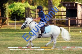079 CROSS A3