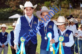 088 WESTERN