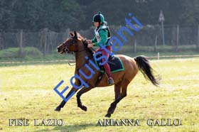 052 ARIANNA GALLO