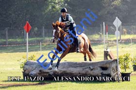 060 ALESSANDRO MARCUCCI