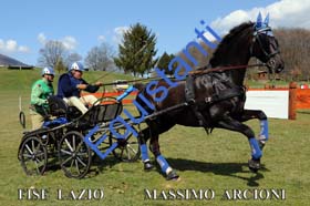 104 MASSIMO ARCIONI