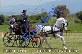106 GIUSEPPE ANGELINI