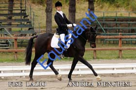 163 ANDREA MENGHINI