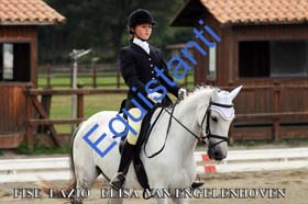 164 ELISA VAN ENGELENHOVEN