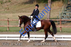 165 ADRIANO RICCARDI