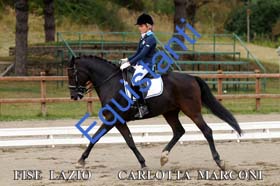 181 CARLOTTA MARCONI