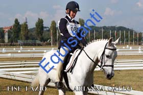 183 ARIANNA GALLO
