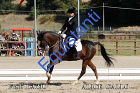 186 ALICE GALLO