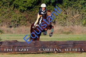 194 CAROLINA ACCOLLA