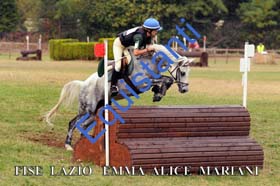 198 ALICE EMMA MARIANI