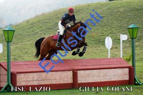 232 GIULIA COFANI