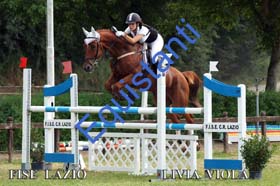 232 LIVIA VIOLA