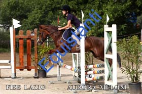 233 AURORA MELONI