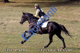 233 ELISA GUALANDI