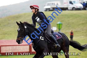 238 MARTINA VALILA
