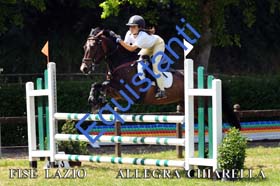 239 ALLEGRA CHIARELLA