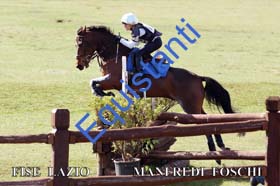 241 MANFREDI FOSCHI