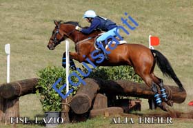 242 ALJA FREIER